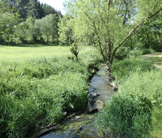 Mittelgeburgsbach bei Irrhausen, © Tourist-Information Islek, I. Wirtzfeld