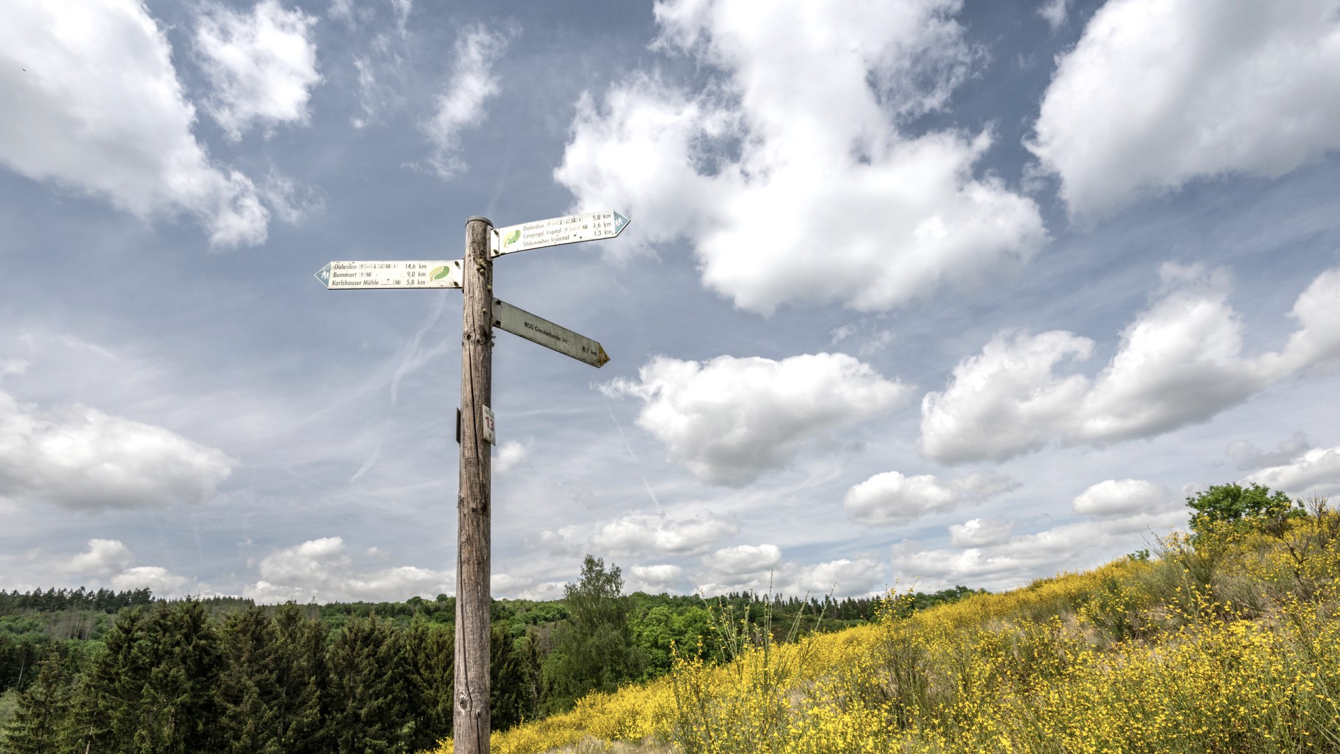 Wegweiser NaturWanderPark delux, © Eifel Tourismus GmbH, Dominik Ketz