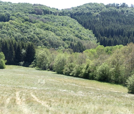 Wanderweg nr. 15 bei Irrhausen, © Tourist-Info islek