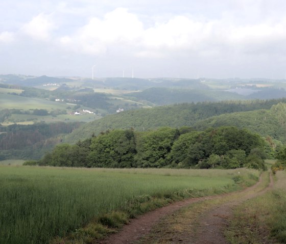 Fernblick Richtung Mauel, © Tourist-Information Islek