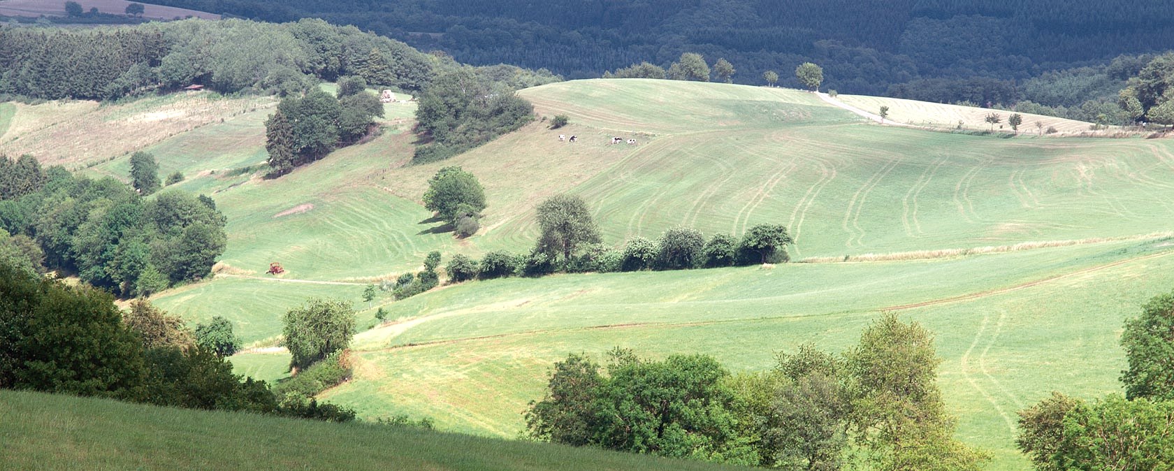 Eifelhöhen bei Plütscheid, © V. Teuschler