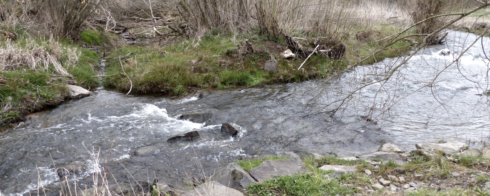 Irsen bei der Harspelter Mühle, © Tourist-Information Islek