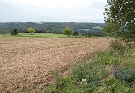 Eifelblick bei Preischeid