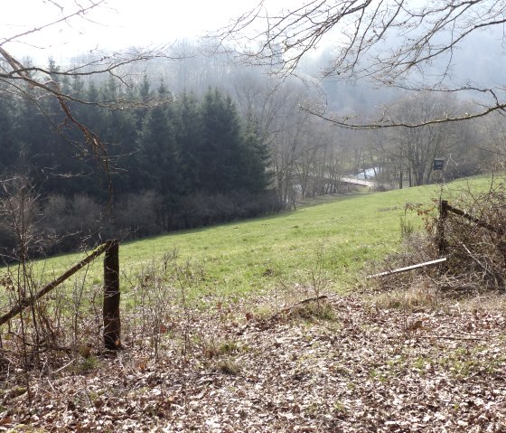 Blick zur Prüm-Brücke, © Tourist-Information Islek