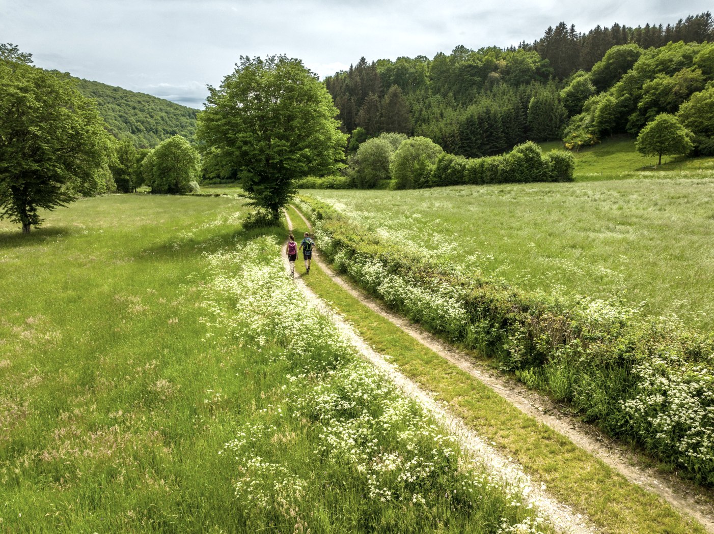 Wanderweg Ourtal, © Eifel Tourismus GmbH, Dominik Ketz