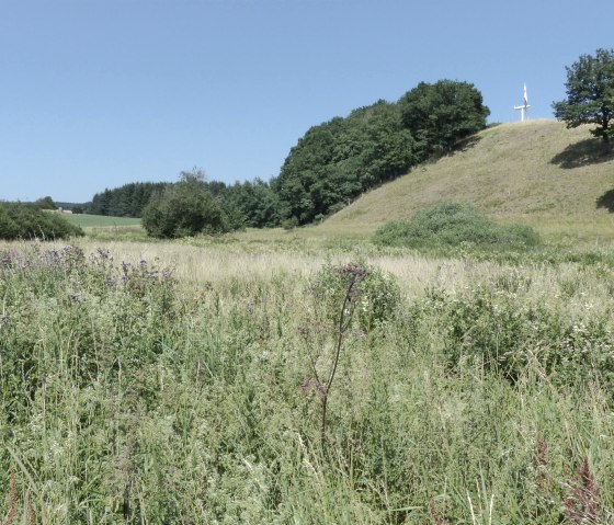 Prümer Bach-Tal bei Kesfeld, © Tourist-Information Islek