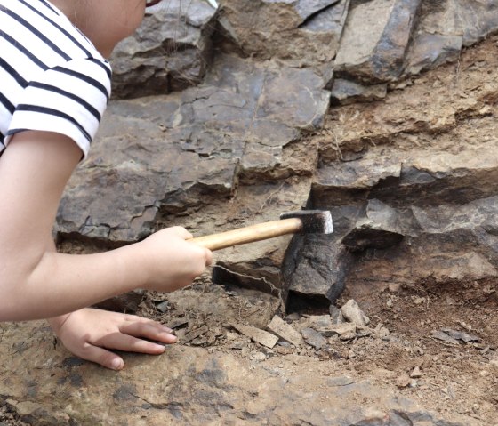 Fossiliensuche bei Waxweiler, © Tourist-Information Islek, Ingrid Wirtzfeld