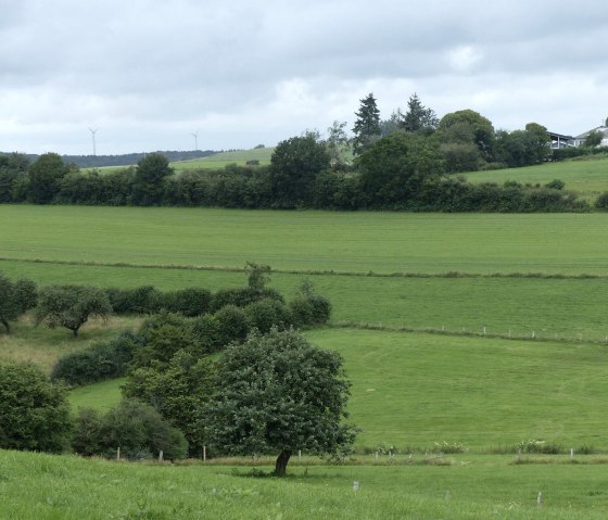 Fernblick bei Eschfeld, © Tourist-Information Islek