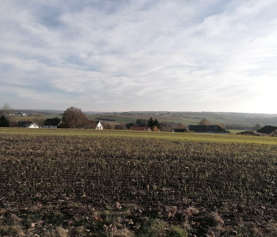 Blick über Olmscheid, © Maria Theis