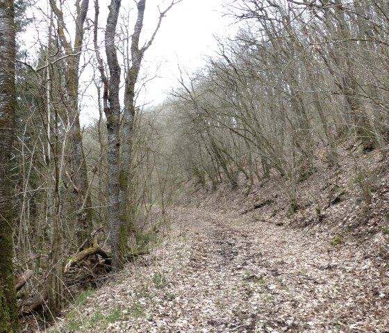 schöner Waldweg oberhalb der Irsen, © Tourist-Information Islek