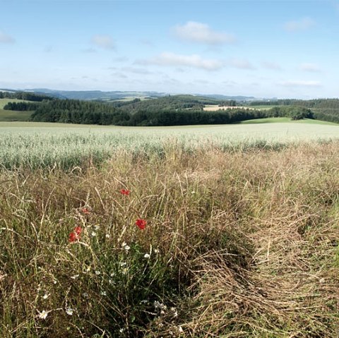 Blick über Bommert, © V. Teuschler