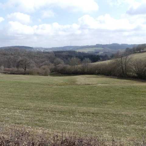 Fernblick bei Kinzenburg, Richtung Prümtal, © Tourist-Information Islek