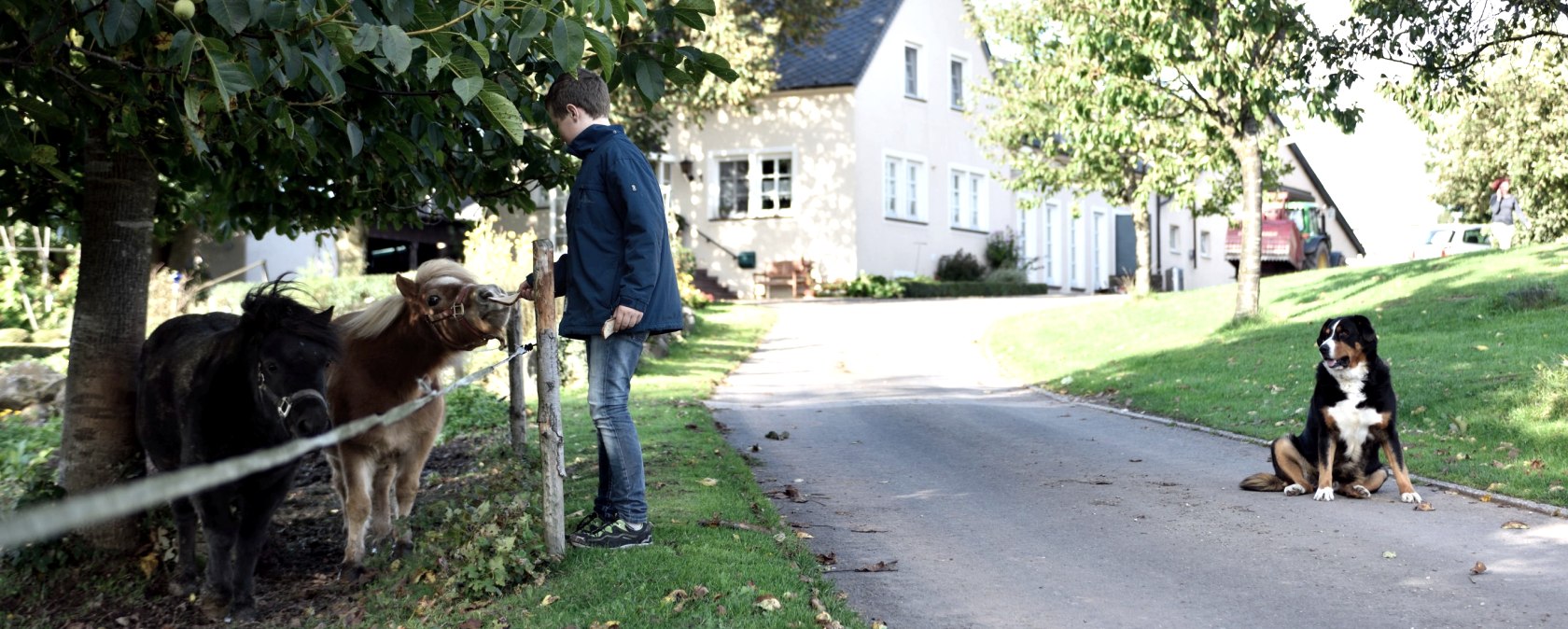 vacation on the farm, © Sinja Friedrich