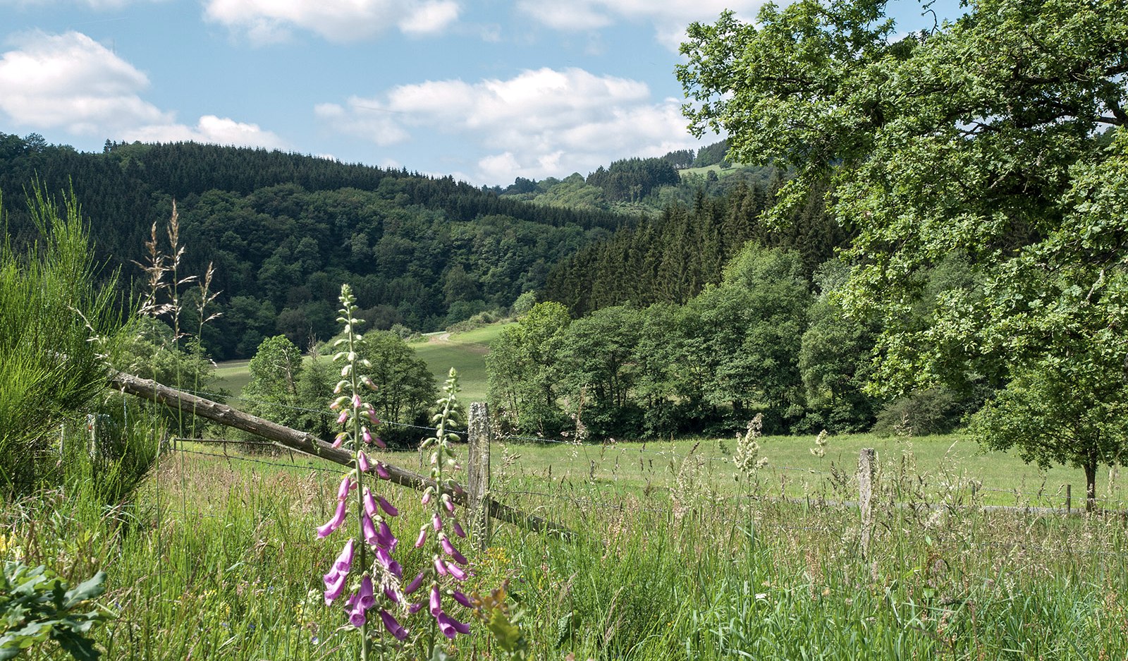 Wanderwege im Naturpark Südeifel, © CUBE Volker Teuschler