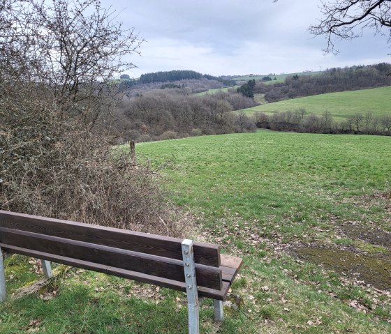 Ruhebank am Wanderweg