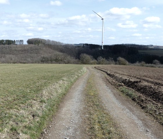 Spazierweg über die Felder, © Tourist-Information Islek