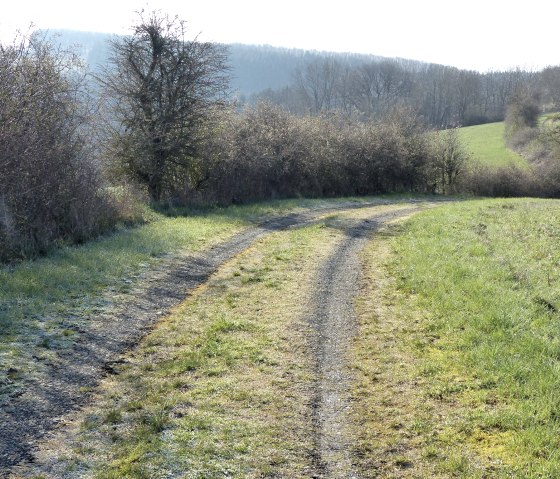 Weg entlang der Felder hinab ins Tal, © Tourist-Information Islek