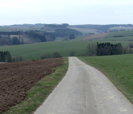 Weg hinab ins Irsental mit Blick auf Harspelt, © Tourist-Information Islek