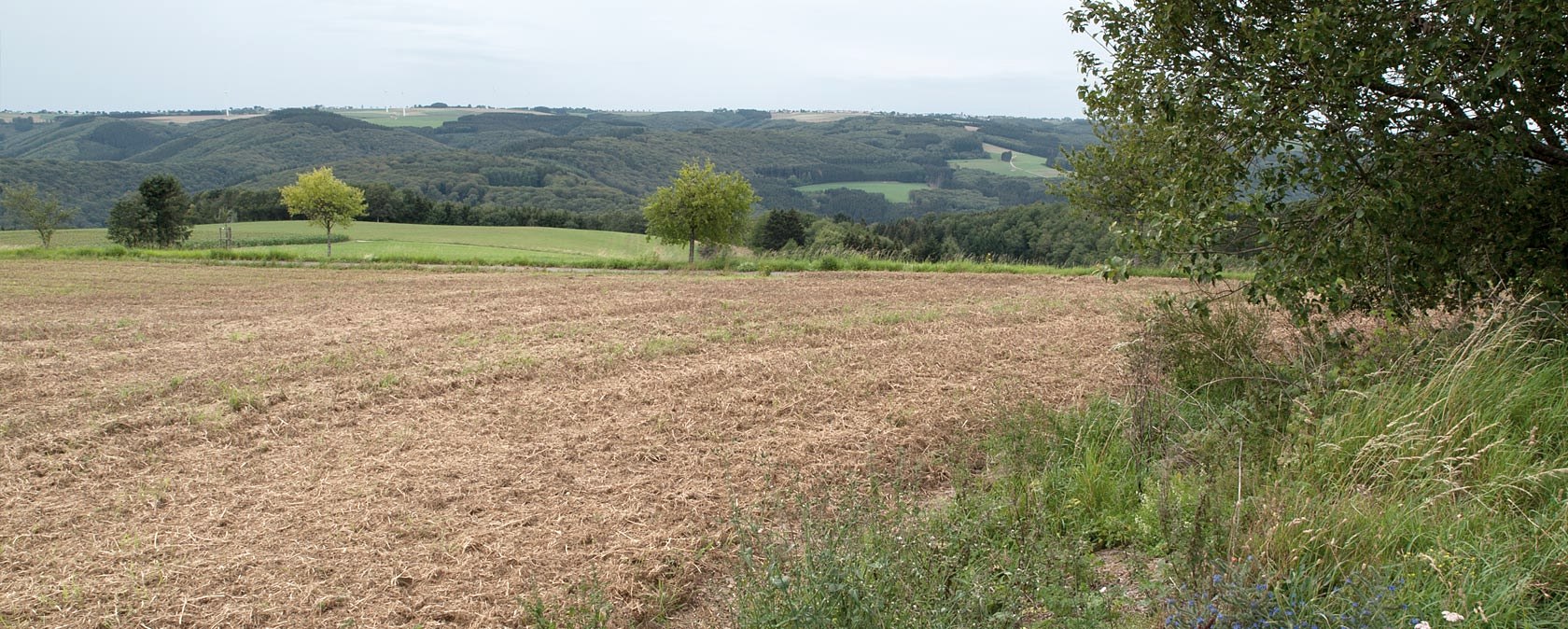 Eifelblick bei Preischeid