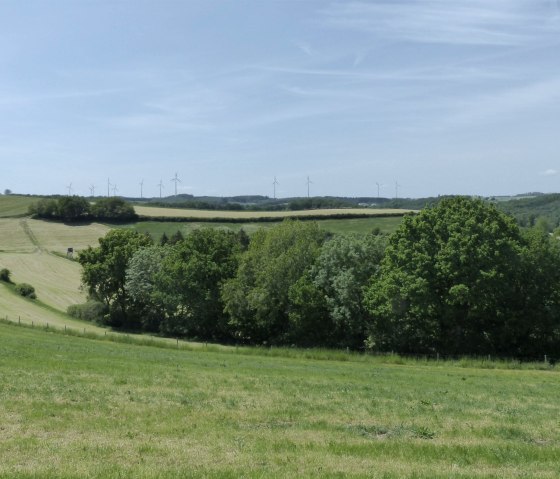 Aussicht von der Ruhebank, © Tourist-Information Islek