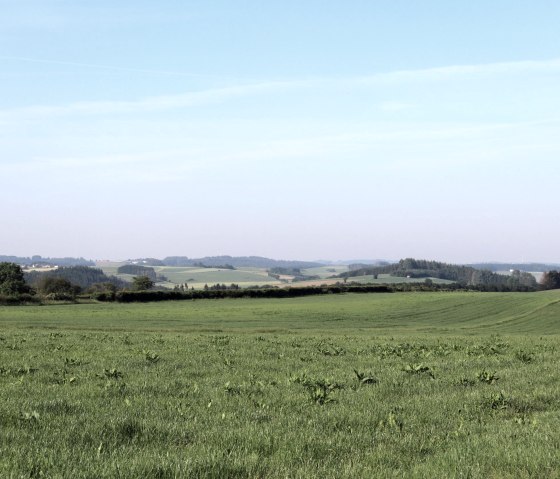 Blick Richtung Lützkampen, © Tourist-Information Islek