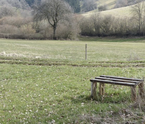 Fernblick bei Kinzenburg, © Tourist-Information Islek