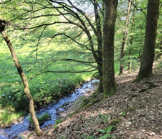 Mühlbach, © Tourist-Information Islek