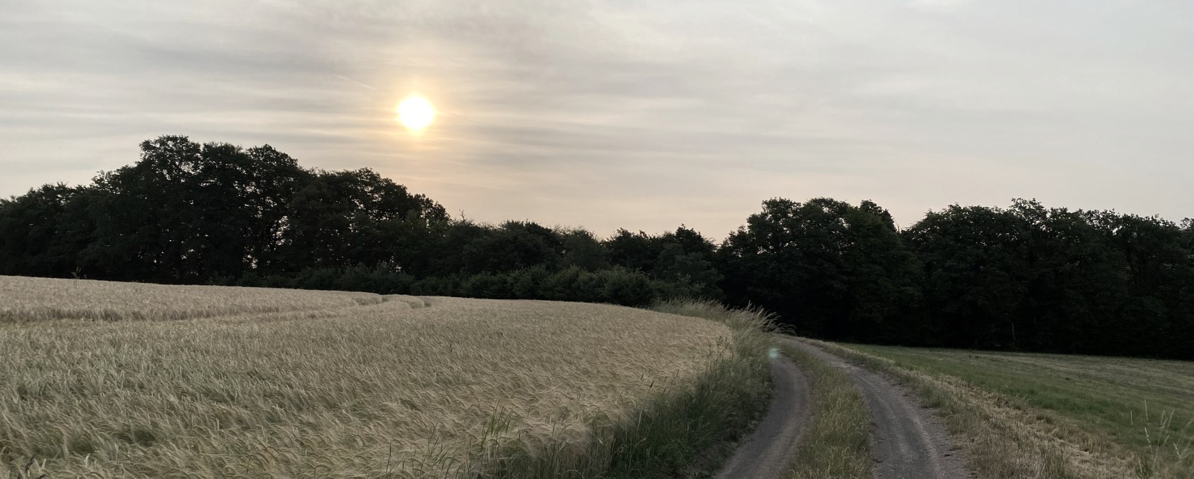 Wanderweg Olmscheid 2, © Ingo Kleis