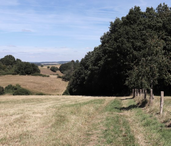 Wanderweg Nr. 86 Richtung Lauperath, © TI Islek