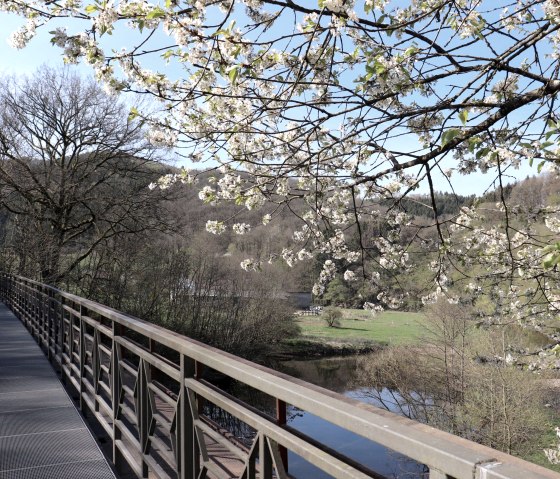 Prüm-Radweg, © Tourist-Information Islek