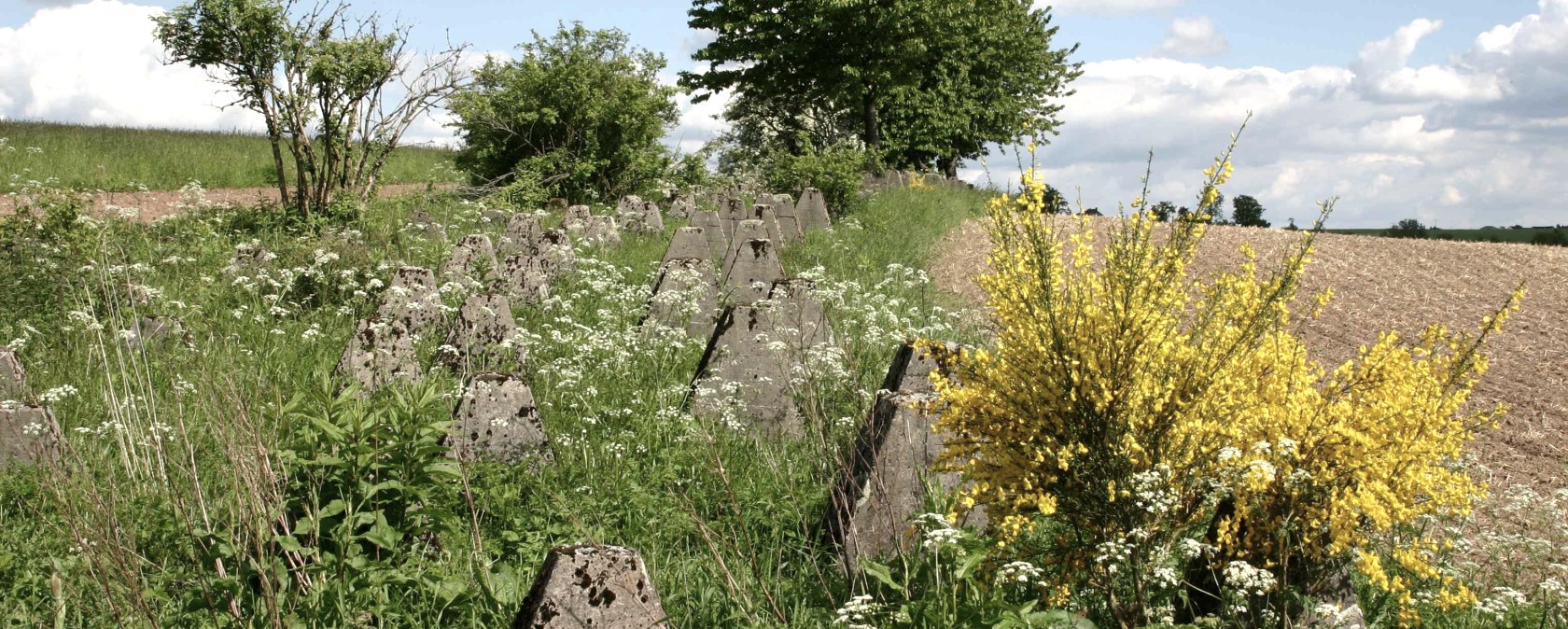 Siegfried line near Großkampenberg, © DLR Eifel