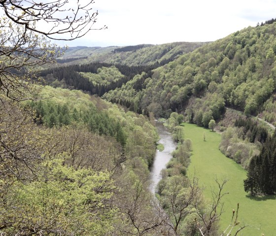 Ausblick über das Ourtal von der Königslay, © Tourist-Information Islek