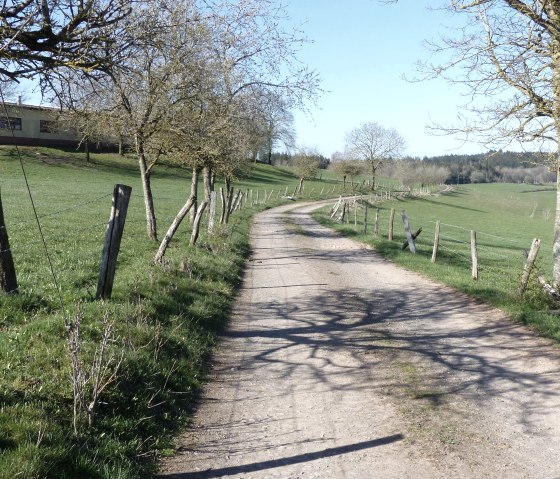 Wanderweg bei Oberpierscheid, © Tourist-Information Islek