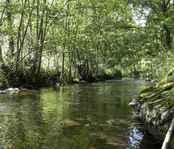 Wanderweg Nr. 3, © CUBE Volker Teuschler