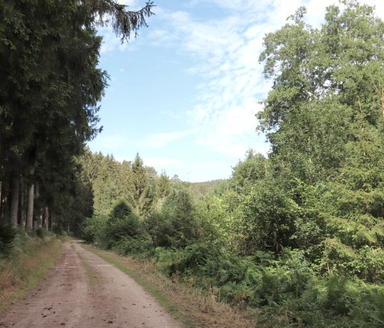 Wanderweg Nr. 20, © Tourist-Information Islek