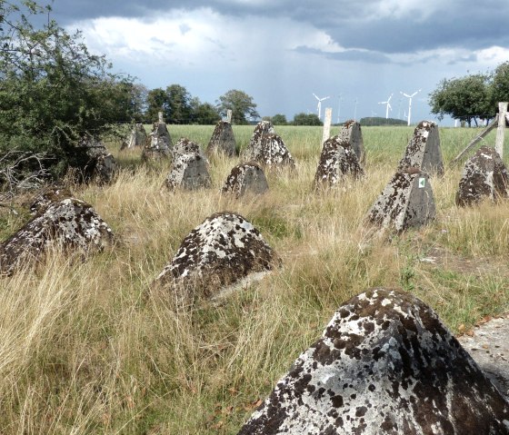 Höckerlinie bei Kesfeld, © Tourist-Information Islek