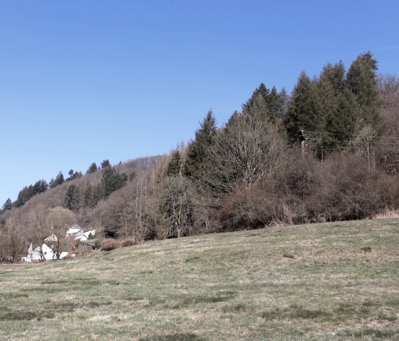 Überwachsene Bunkerruine, © Tourist-Information Islek