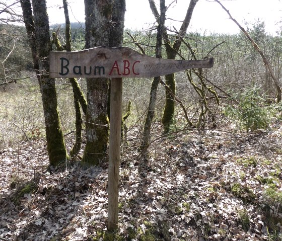 Baum-ABC am Enz-Radweg, © Tourist-Information Islek