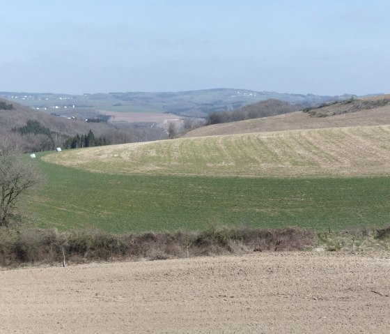 Fernblcik zur Schneifel und Richtung Prümtal, © Tourist-Info Islek