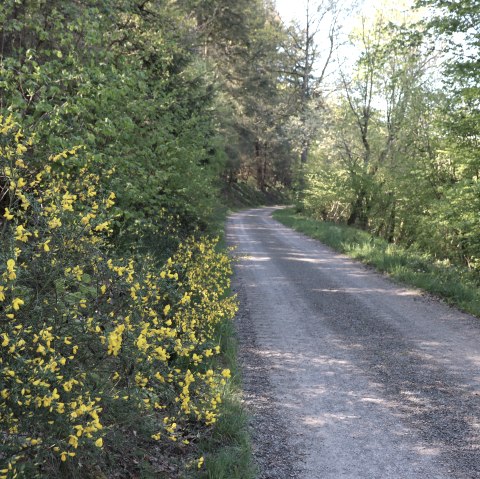 Spazierweg, © Tourist-Information Islek, Ingrid Wirtzfeld